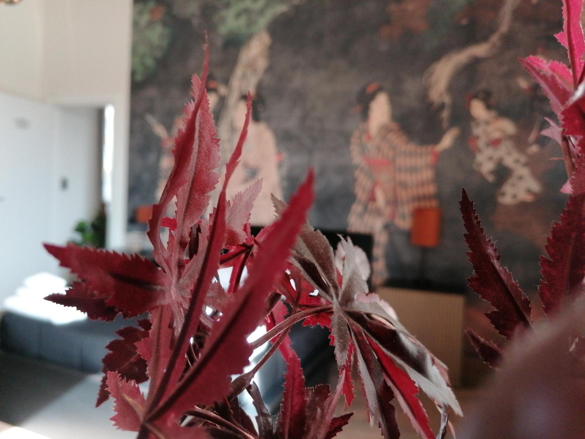 Le Boutique Luxury Rooms Diffused In Historic Center ฟิวมิชีโน ภายนอก รูปภาพ
