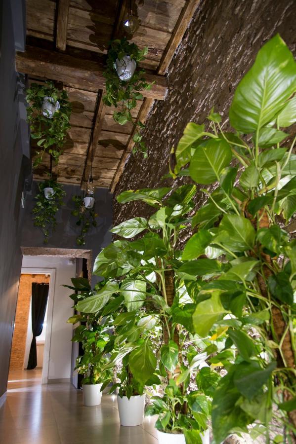 Le Boutique Luxury Rooms Diffused In Historic Center ฟิวมิชีโน ภายนอก รูปภาพ